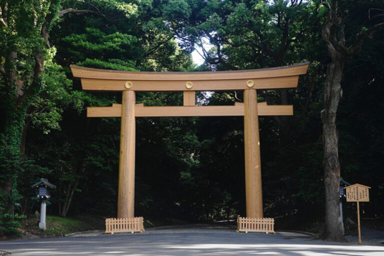 檜から吉野杉へ。明治神宮の鳥居の建て替えについて考える ― 松本工務店｜西東京 自然素材の家